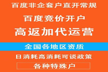 百度竞价公司案例分析：提升转化率的策略
